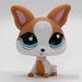 Littlest Petshop Chihuahua #2072 - Elli