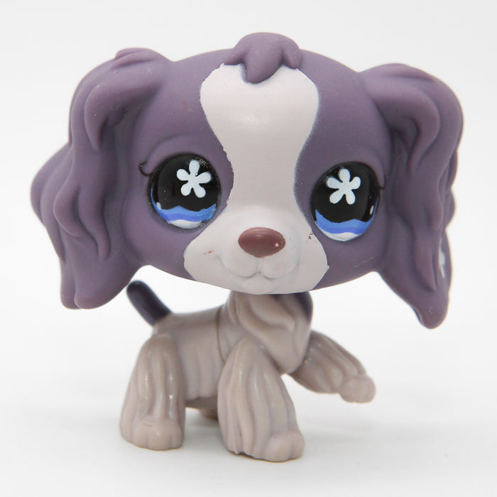 Littlest Petshop Cockerspanieli #672