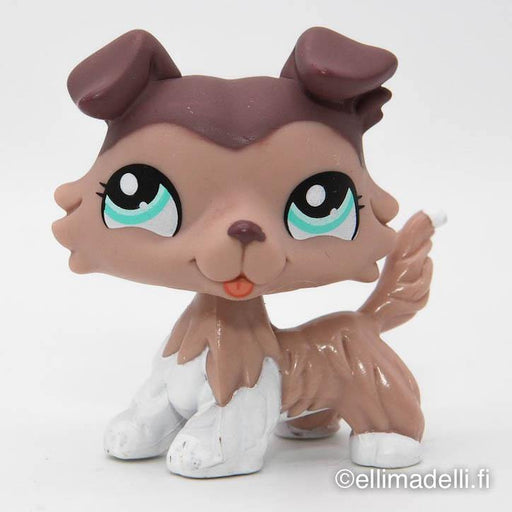 Littlest Petshop Collie koira #1330