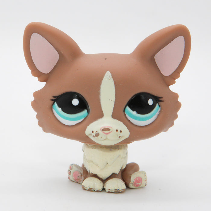 Littlest Petshop Corgi #1864