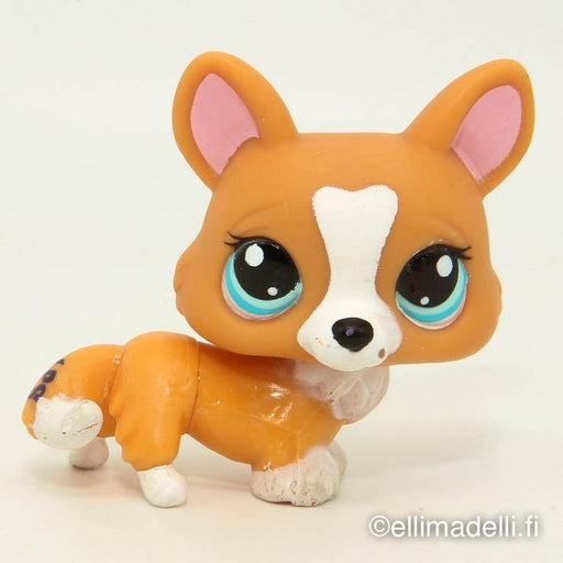 Littlest Petshop Corgi koira #1360 - Elli