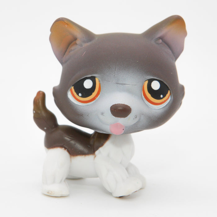 Littlest Petshop Husky koira #174