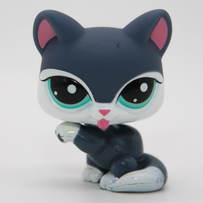 Littlest Petshop Kissa #2204