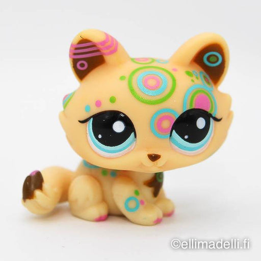 Littlest Petshop Kissa pentu #1839 - Elli