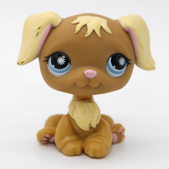 Littlest Petshop Kultainen noutaja #951
