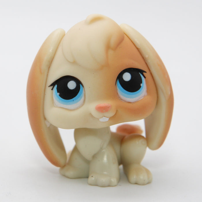 Littlest Petshop Pupu #95 - Second Hand