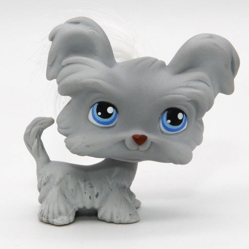 Littlest Petshop Shi Tzu koira #227 - Elli