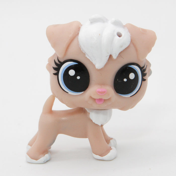 Littlest Petshop Vehnäterrieri #22