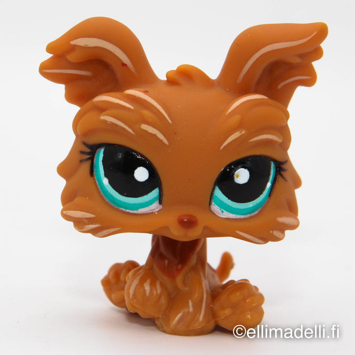 Littlest Petshop Yorkshiren terrieri #1407