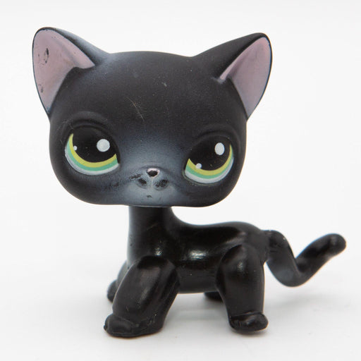 Littlest Petshop seisova Kissa #337 - Elli