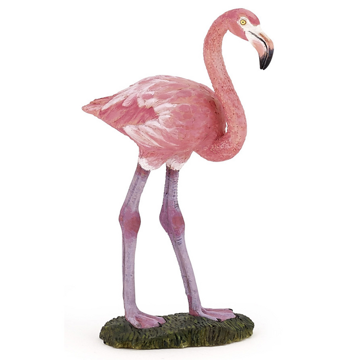 Papo Flamingo - Elli Madelli