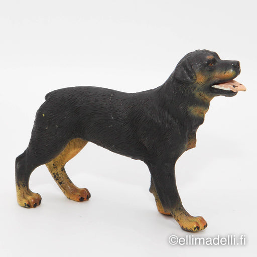 Procon Rottweiler - Elli Madelli