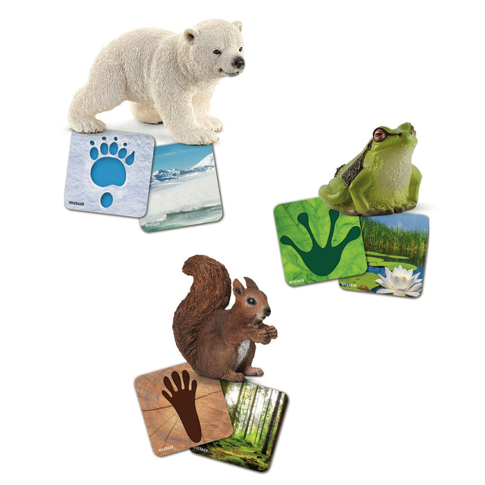 Schleich Orava, Jääkarhu, Sammakko ja oppimiskortit 42474 - Elli Madelli