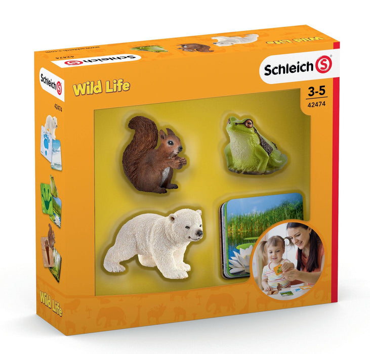 Schleich Orava, Jääkarhu, Sammakko ja oppimiskortit 42474 - Elli Madelli