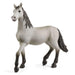 Schleich nuori Andalusian hevonen 13924