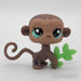 Littlest Petshop Apina #1427 - Littlest Petshop