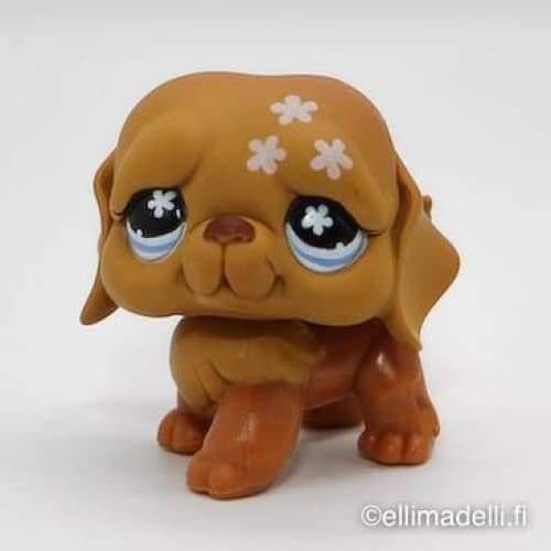 Littlest Petshop Bernhardilainen #481 - Littlest Petshop