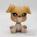 Littlest Petshop Bokseri pentu #451 - Littlest Petshop