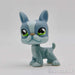 Littlest Petshop Bostonin terrieri #857 - Littlest Petshop