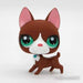 Littlest Petshop Bostoninterrieri #3174 - Littlest Petshop