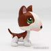 Littlest Petshop Bullterrieri #154 - Littlest Petshop