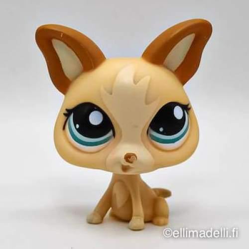 Littlest Petshop Chihuahua #1656 - Littlest Petshop
