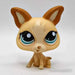 Littlest Petshop Chihuahua #1656 - Littlest Petshop