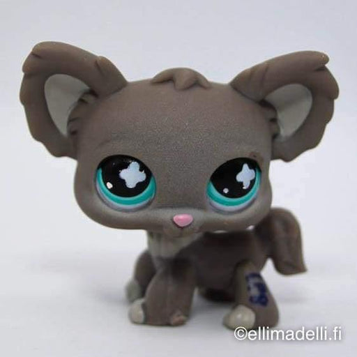 Littlest Petshop Chihuahua #836 - Littlest Petshop