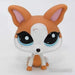 Littlest Petshop Chihuahua Koira #2072 - Littlest Petshop