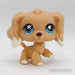 Littlest Petshop Cockerspanieli #748 - Littlest Petshop