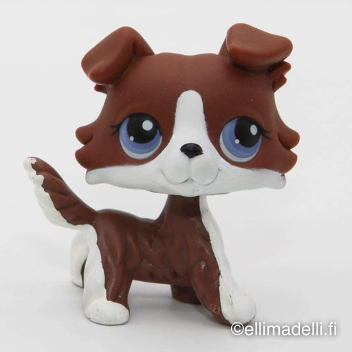 Littlest Petshop Collie koira #no - Littlest Petshop