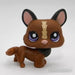 Littlest Petshop Corgi koira #1767 - Littlest Petshop