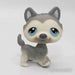 Littlest Petshop Husky #69 - Littlest Petshop