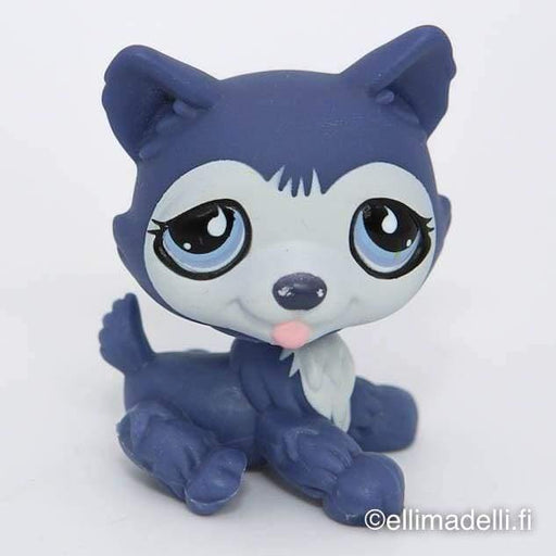 Littlest Petshop Husky #785 - Littlest Petshop