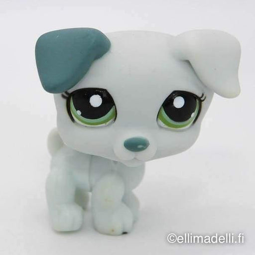 Littlest Petshop JackRussell #1426 - Littlest Petshop