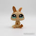 Littlest Petshop Kääpiökani #1372 - Littlest Petshop