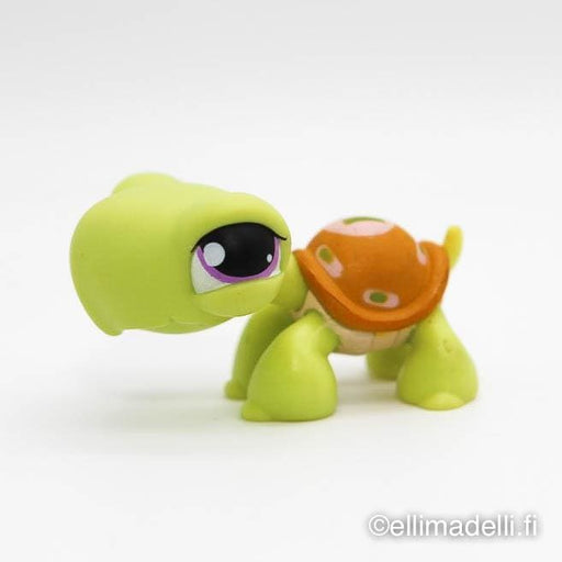 Littlest Petshop Kilpikonna #350 - Littlest Petshop