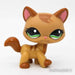 Littlest Petshop Kissa #1174 - Littlest Petshop