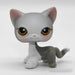 Littlest Petshop Kissa #138 - Littlest Petshop
