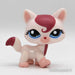 Littlest Petshop Kissa #1679 - Littlest Petshop