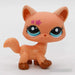 Littlest Petshop Kissa #2258 - Littlest Petshop