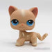 Littlest Petshop Kissa #228 - Littlest Petshop