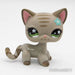 Littlest Petshop Kissa #483 - Littlest Petshop