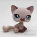 Littlest Petshop Kissa #664 - Littlest Petshop