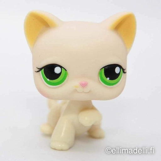 Littlest Petshop Kissa #98 - Littlest Petshop