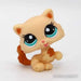 Littlest Petshop Kissa pentu #2326 - Littlest Petshop