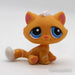 Littlest Petshop Kissa pentu #349 - Littlest Petshop