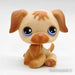 Littlest Petshop Kultainen noutaja #286 - Littlest Petshop
