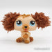 Littlest Petshop Labradoodle koira #2421 - Littlest Petshop