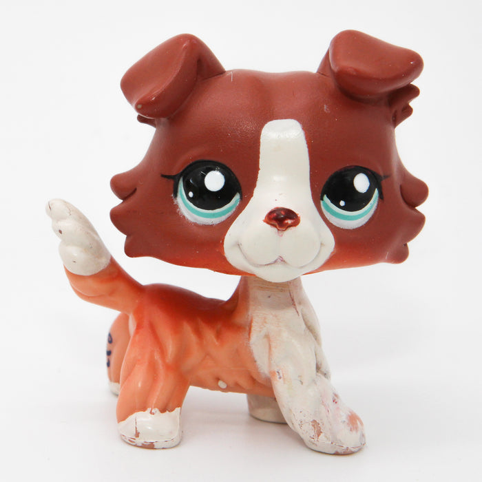 Littlest Petshop Collie koira #1542